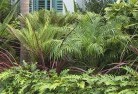 Silky Oaktropical-landscaping-2.jpg; ?>